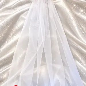 White tulle veil with white feather trim